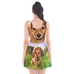 Scoop Neck Skater Dress 
