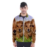 Puppy In Grass Men s Windbreaker