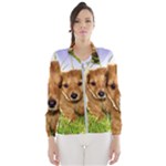 Puppy In Grass Women s Windbreaker