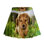 Puppy In Grass Mini Flare Skirt