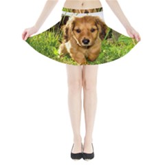 Mini Flare Skirt 