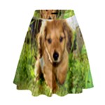 Puppy In Grass High Waist Skirt