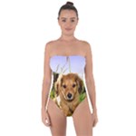 Puppy In Grass Tie Back One Piece Swimsuit