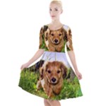 Puppy In Grass Quarter Sleeve A-Line Dress