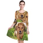 Puppy In Grass Quarter Sleeve Waist Band Dress