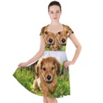 Puppy In Grass Cap Sleeve Midi Dress