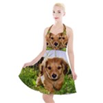 Puppy In Grass Halter Party Swing Dress 