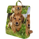 Puppy In Grass Flap Top Backpack