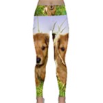 Puppy In Grass Lightweight Velour Classic Yoga Leggings