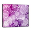 Deluxe Canvas 24  x 20  (Stretched) 