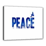 Peace Bird Canvas 20  x 16  (Stretched)