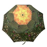 Eddie s Sunset Folding Umbrella