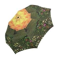 Folding Umbrella 
