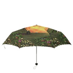 Folding Umbrella 