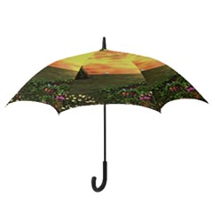 Hook Handle Umbrella (Large) 