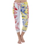 Coat Of Arms Of Schleswig Holstein Capri Winter Leggings 