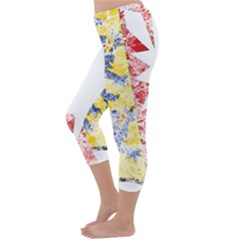 Capri Winter Leggings Back Capri Winter Leggings Back