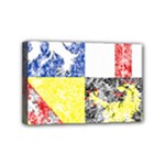 Coa De Saarland Mini Canvas 6  x 4  (Stretched)