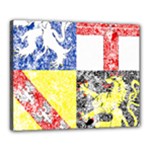 Coa De Saarland Canvas 20  x 16  (Stretched)