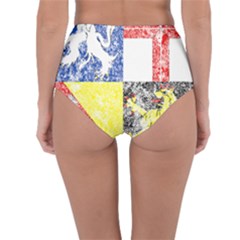Reversible High-Waist Bikini Bottoms 
