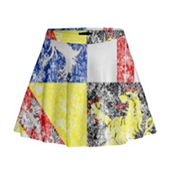 Mini Flare Skirt 
