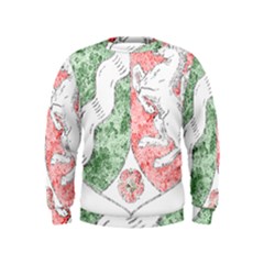 Kids  Sweatshirt 