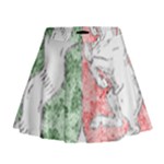 Coat Of Arms Of North Rhine Westfalia Mini Flare Skirt