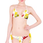 Coat Of Arms Of Mecklenburg Western Pomerania Classic Bikini Set