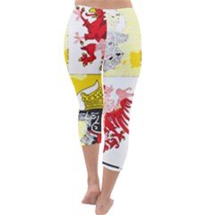 Capri Winter Leggings  