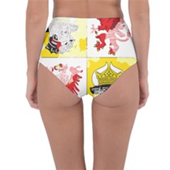 Reversible High-Waist Bikini Bottoms 