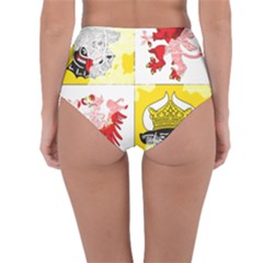 Reversible High-Waist Bikini Bottoms 