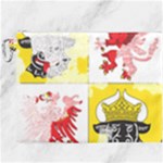 Coat Of Arms Of Mecklenburg Western Pomerania Canvas Cosmetic Bag (XXXL)