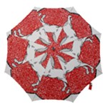 Coat Of Arms Of Lower Saxony Hook Handle Umbrella (Large)