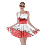 Coat Of Arms Of Lower Saxony Skater Dress