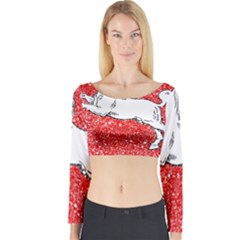 Long Sleeve Crop Top 