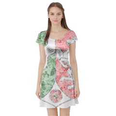 Short Sleeve Skater Dress Front Short Sleeve Skater Dress Front
