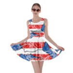Coat Of Arms Of Hesse Skater Dress