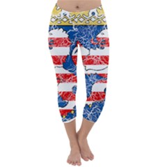 Capri Winter Leggings Front Capri Winter Leggings Front