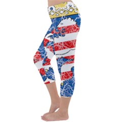 Capri Winter Leggings Back Capri Winter Leggings Back