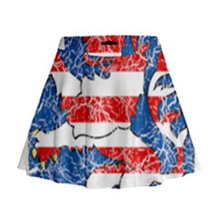 Mini Flare Skirt 