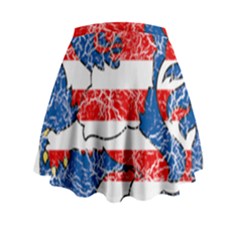 Mini Flare Skirt 