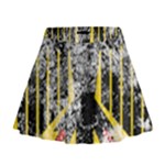 Coat Of Arms Of Germany Washed Mini Flare Skirt