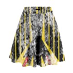 Coat Of Arms Of Germany Washed High Waist Skirt