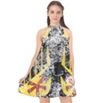Coat Of Arms Of Germany Washed Halter Neckline Chiffon Dress 