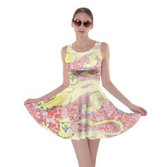 Skater Dress 