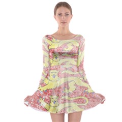 Long Sleeve Skater Dress 