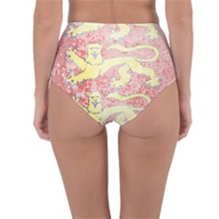 Reversible High-Waist Bikini Bottoms 