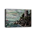 Mini Canvas 6  x 4  (Stretched) 