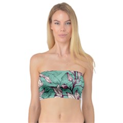 Bandeau Top 