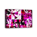 Mini Canvas 6  x 4  (Stretched) 